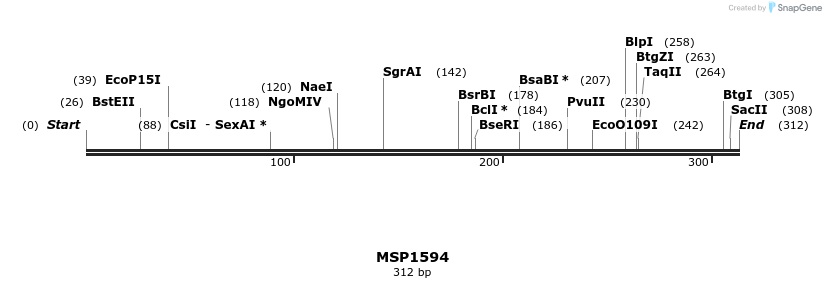 116168_map