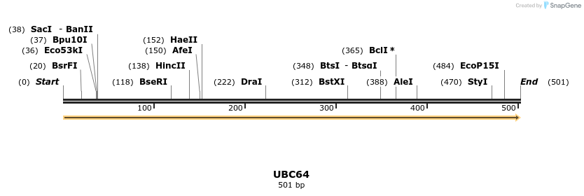 11617_map
