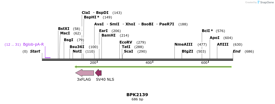 116170_map