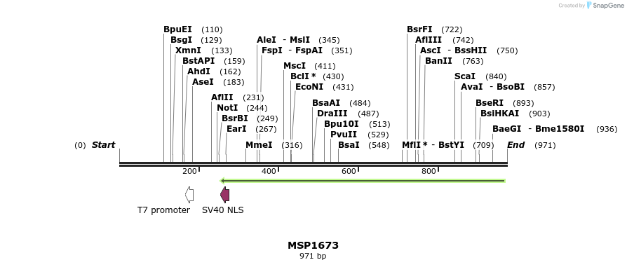 116172_map