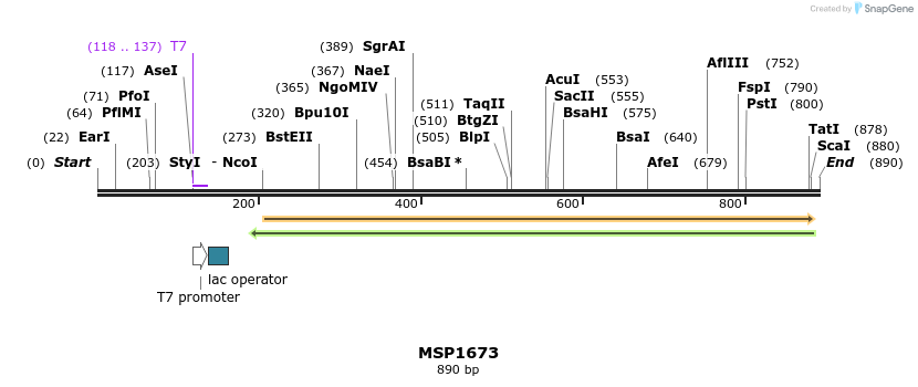 116173_map