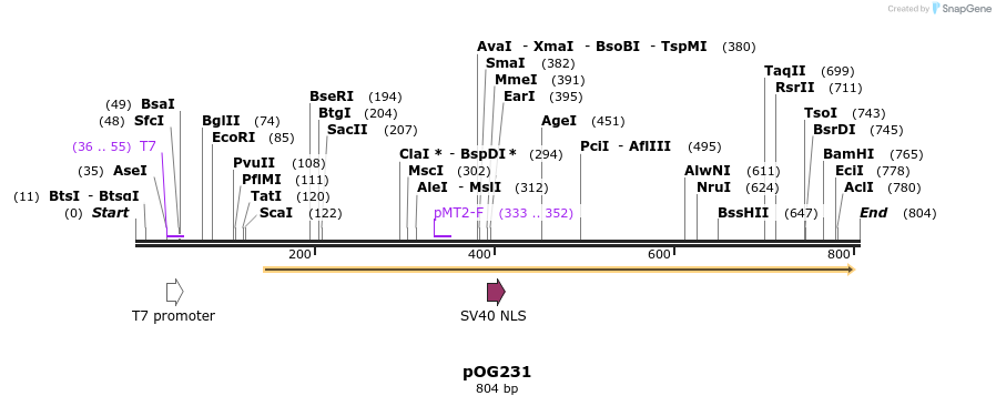 116175_map