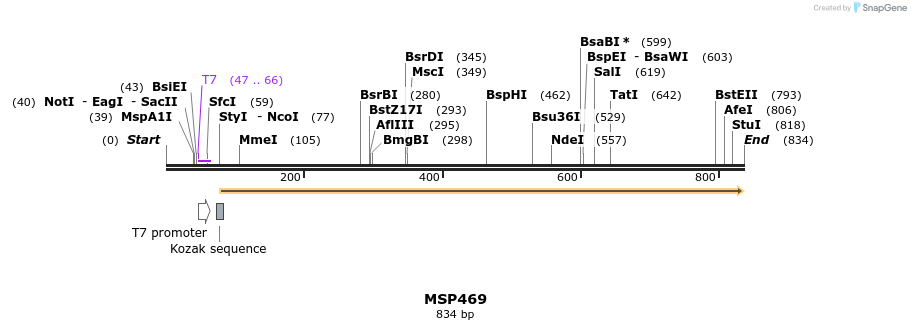 116177_map