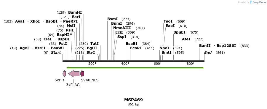 116178_map