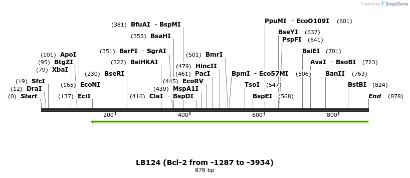 116179_map