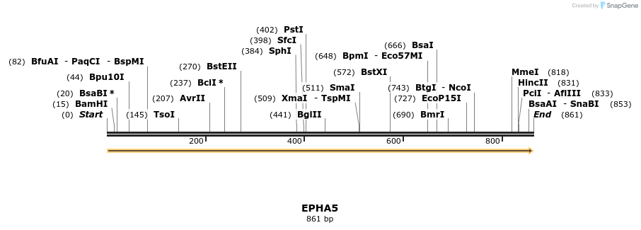 11618_map