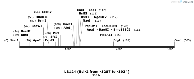 116180_map