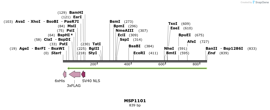 116182_map