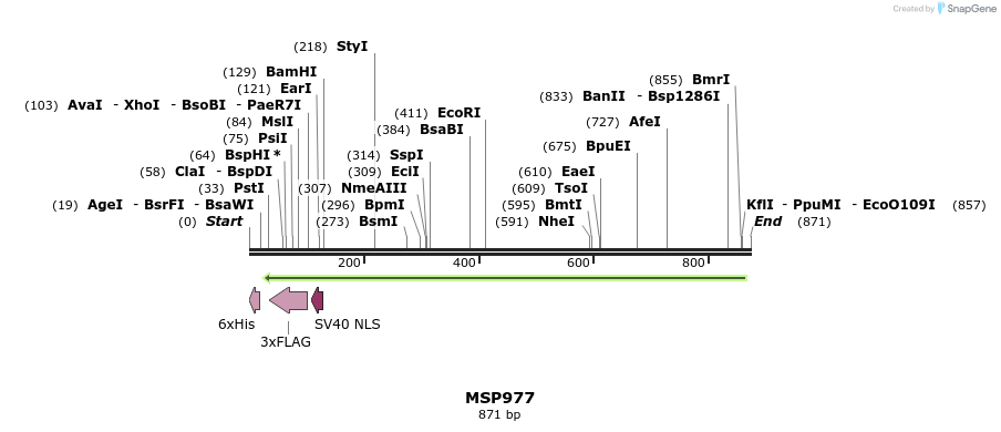 116183_map
