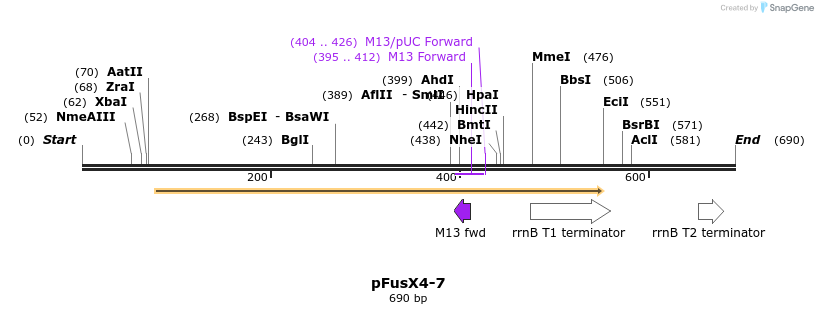 116189_map