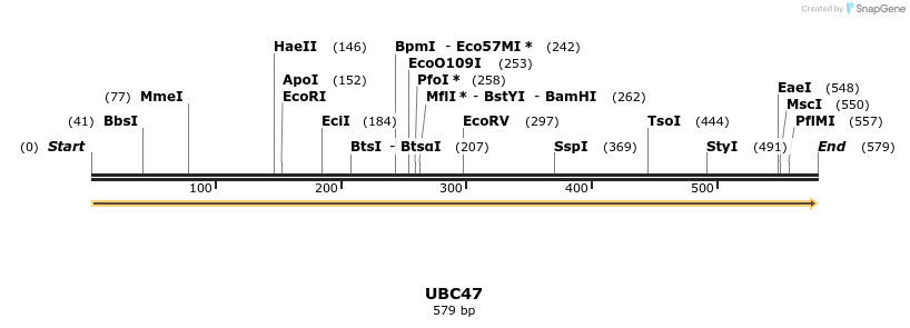 11619_map