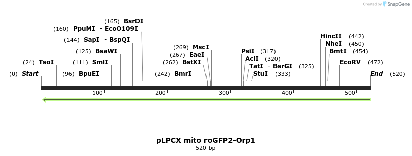 116190_map