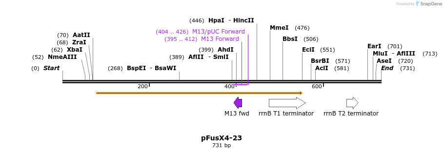 116193_map