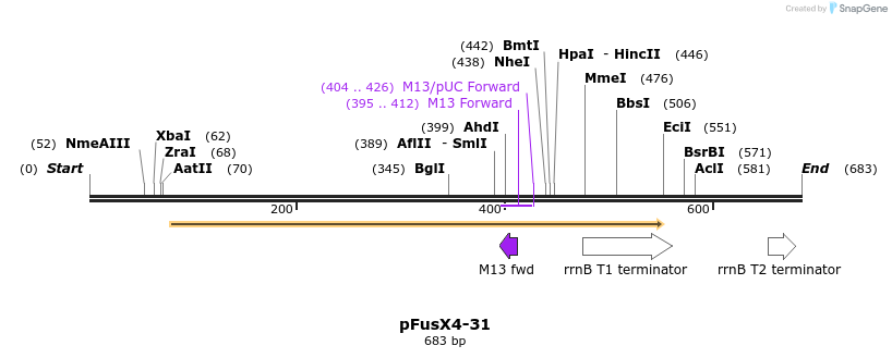 116195_map
