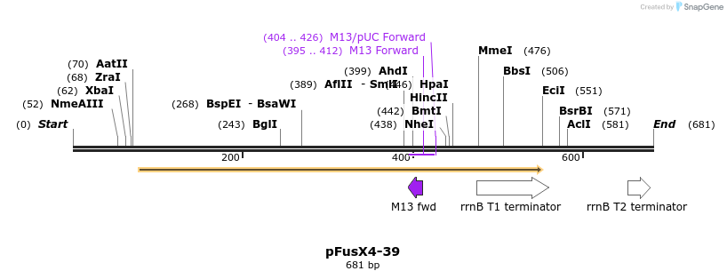 116198_map