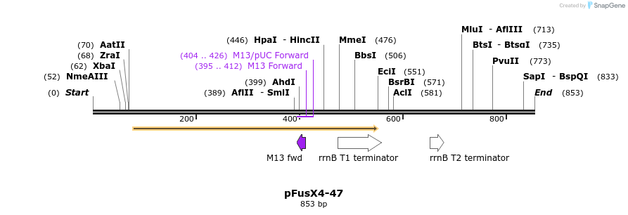 116202_map