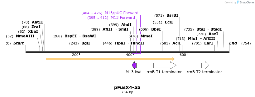 116203_map