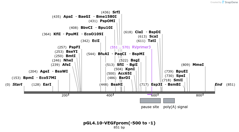 116209_map