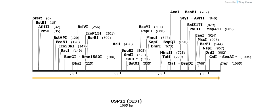 11621_map