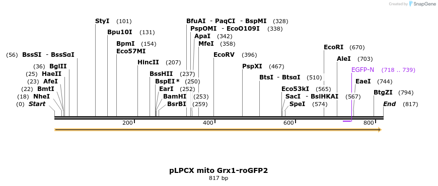116213_map