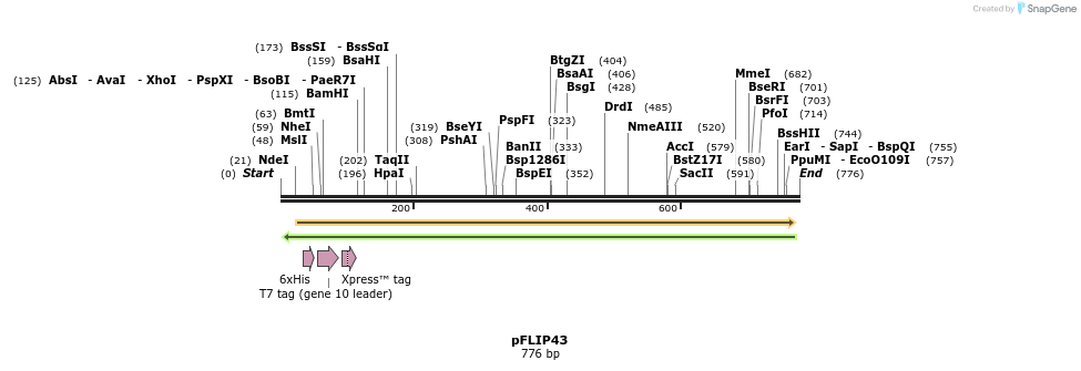 116215_map