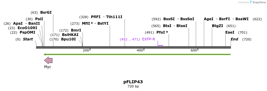116217_map