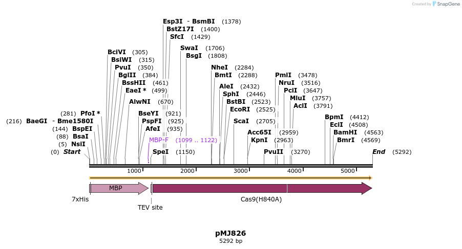 116220_map