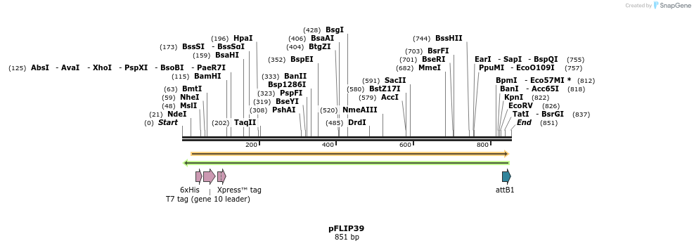 116223_map
