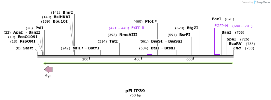 116224_map