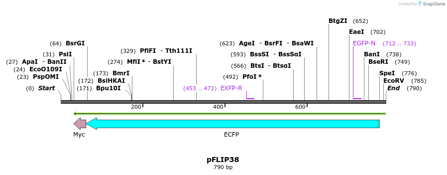 116226_map