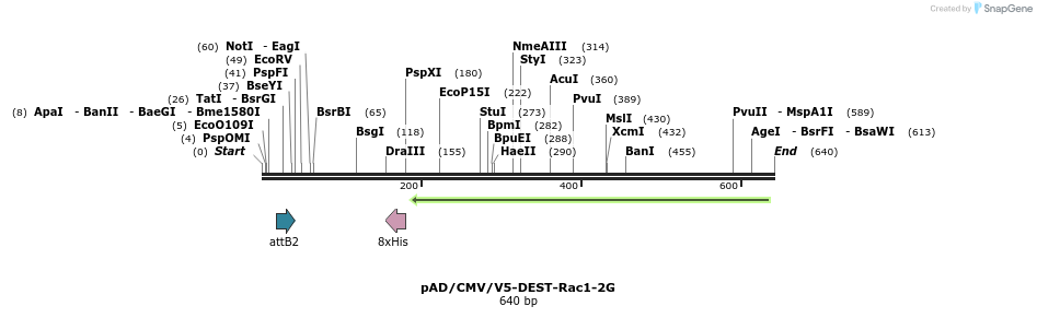 116239_map