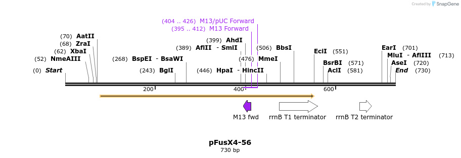 116240_map