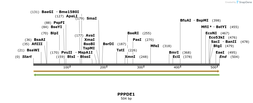 11625_map