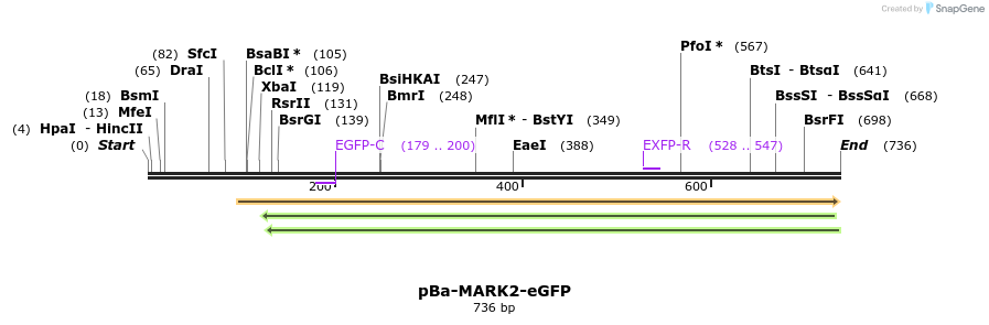116250_map