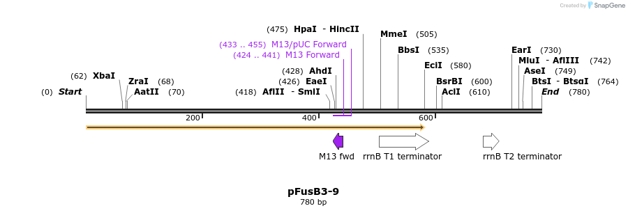 116252_map