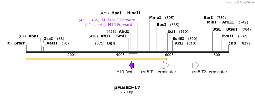 116254_map