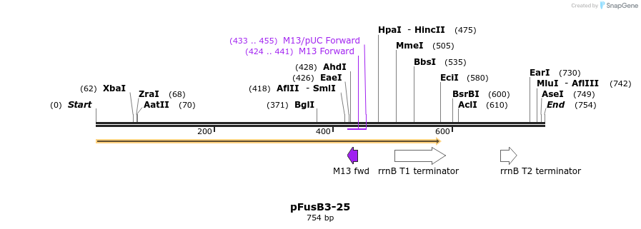 116255_map