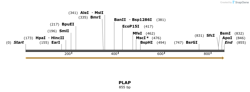 11626_map
