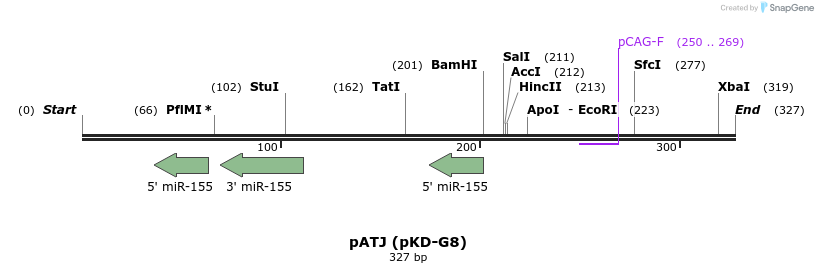 116269_map