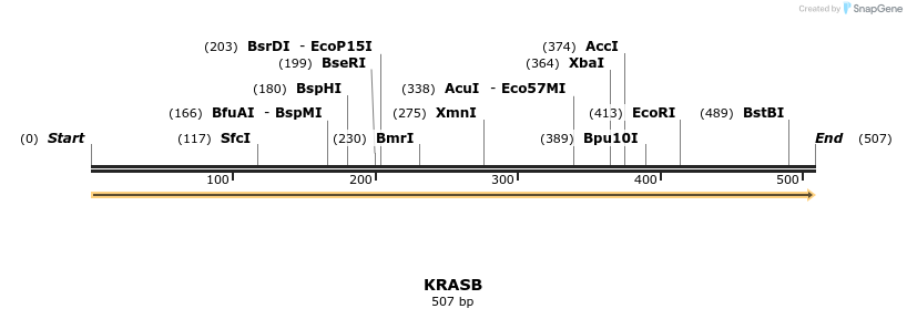 11627_map