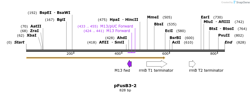 116271_map
