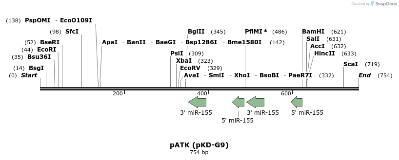 116272_map