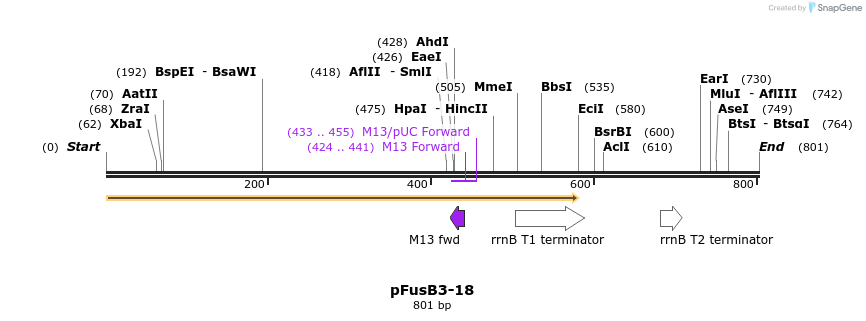 116274_map