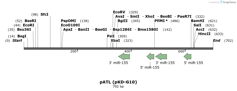 116275_map