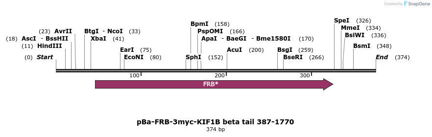 116279_map