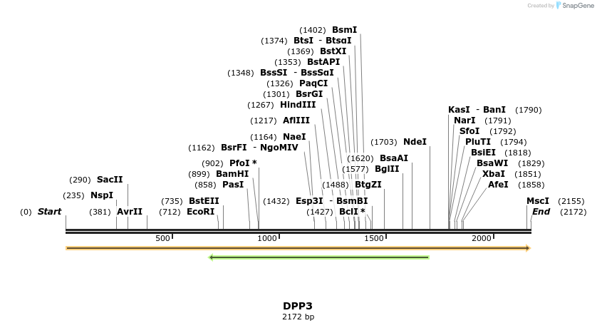 11628_map