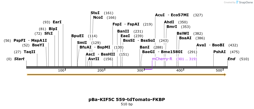 116283_map