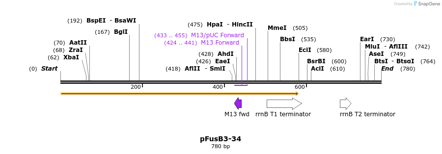 116285_map