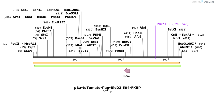 116289_map