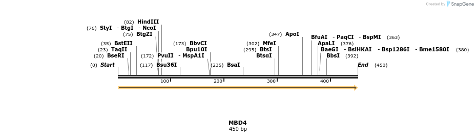 11629_map